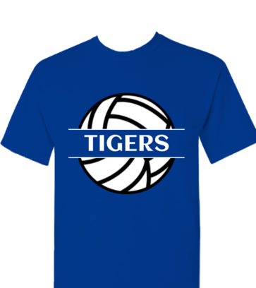 Volleyball team design idea