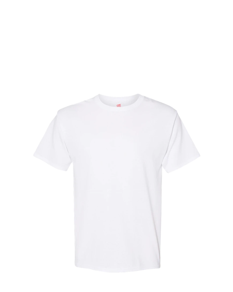 Image of a model wearing a 5170 Hanes ComfortBlend Tee