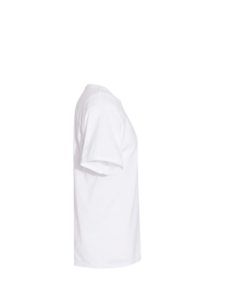 Image of a model wearing a 5170 Hanes ComfortBlend Tee