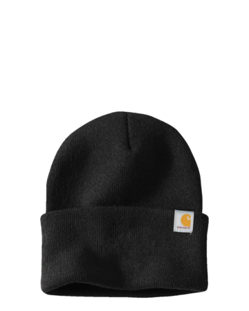 Model wearing a CT104597 Carhartt Watch Cap 2.0