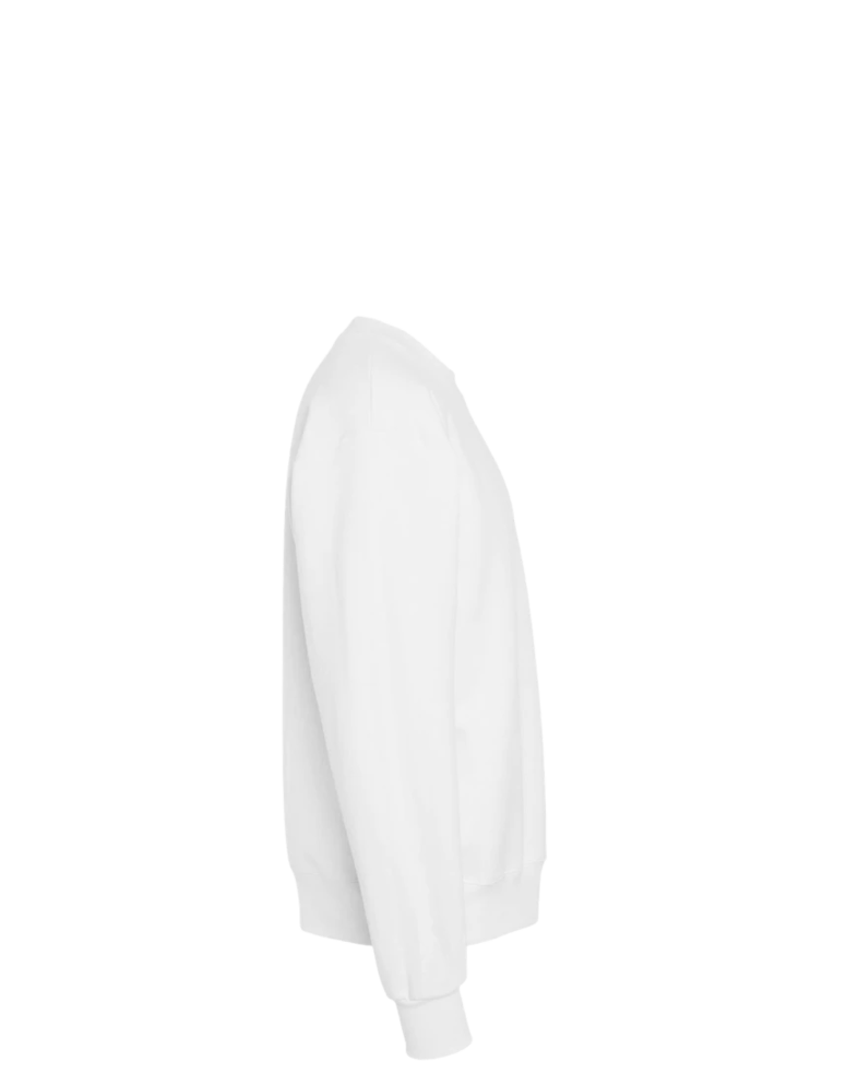 Image of a model wearing a F260 Hanes Ultimate Cotton Crewneck