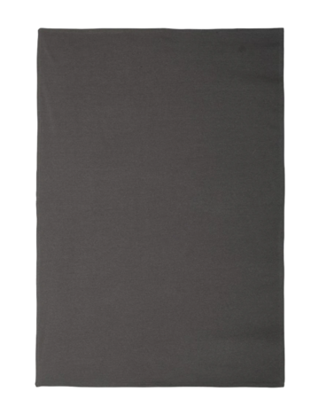 Model wearing a INDBKTSB Independent Trading Co. Special Blend Blanket